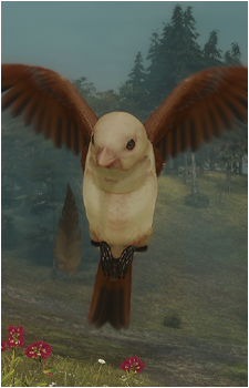 Guiding Sparrow's image