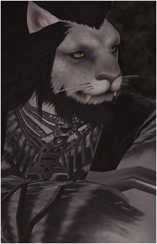 Runar's image