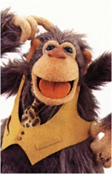 Sal Minella's image