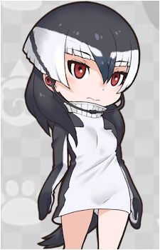 Chinstrap Penguin