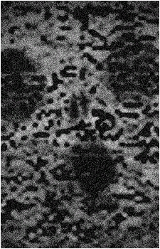 Dimensional Refraction Variant's image