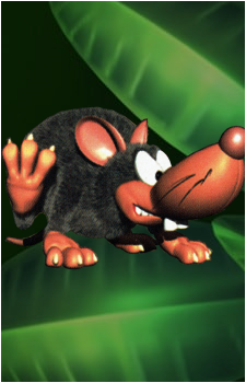 Neek's image