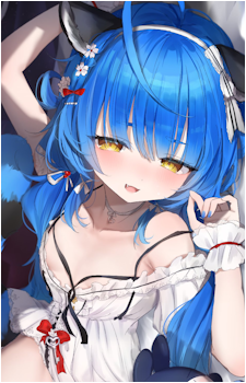 Poko Rakun