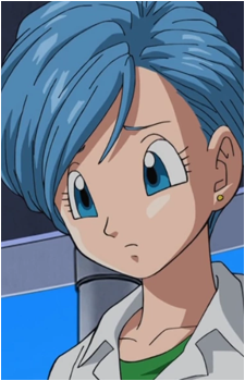 Image 15 of Bulma