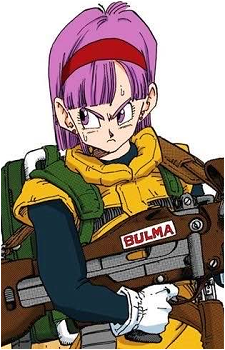 Image 44 of Bulma