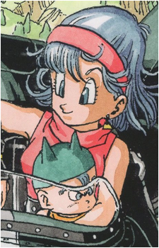 Image 26 of Bulma