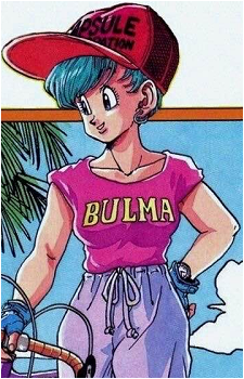 Image 43 of Bulma