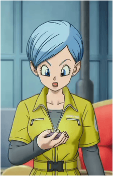 Image 64 of Bulma