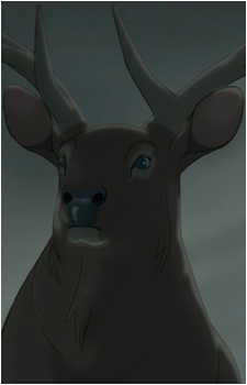 The Elk's image