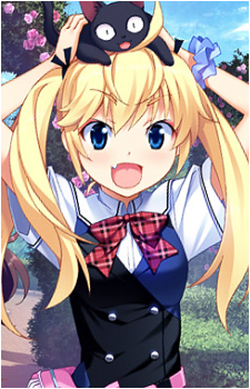 Image 3 Image 3