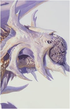 Rith's image