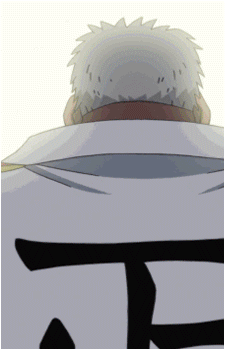 Monkey D. Garp
