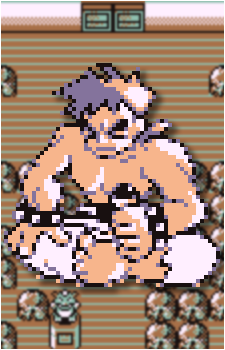 Bruno {PKMN}