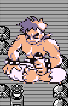 Bruno {PKMN}