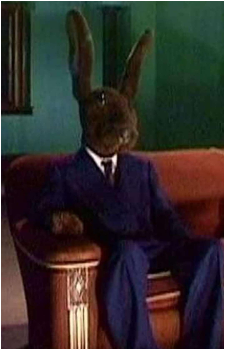 Jack Rabbit's image