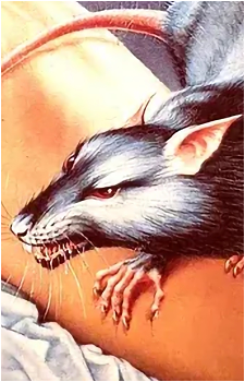 Rat {OUO}'s image