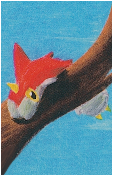 Image 13