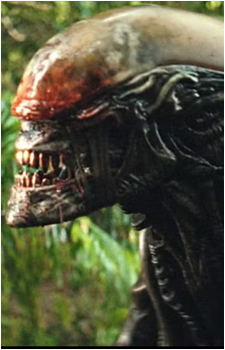 Prodigy Drone's image