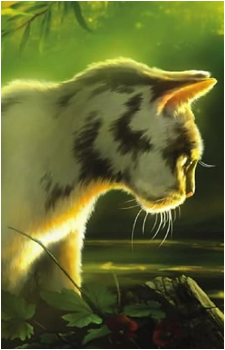 Darktail's image