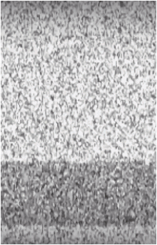 Image 36