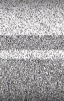 Image 37