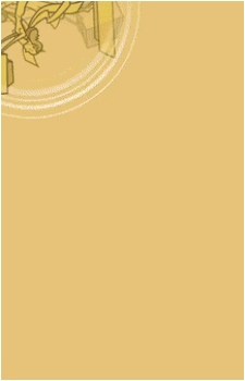 Image 39