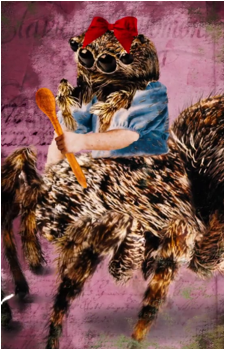Little Miss Muffet {Neverafter}'s image