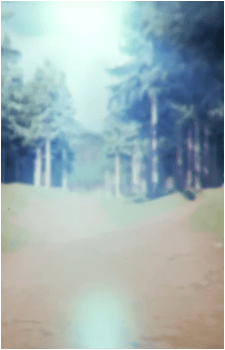 Image 23