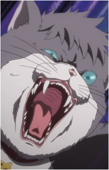Nyanko Big