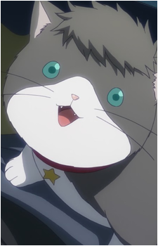Nyanko Big