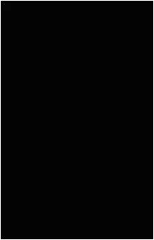 Image 37