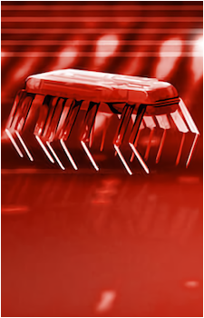 Stem's image