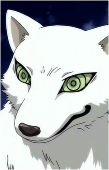 Madarao's image