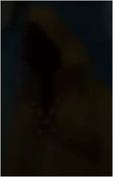 Ansem, Seeker of Darkness