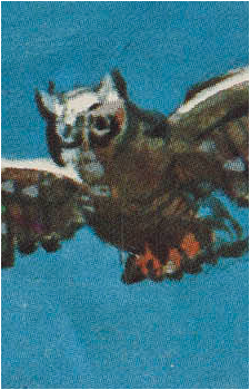 Wol {OitF}'s image