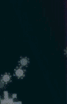 Clover {UTY}