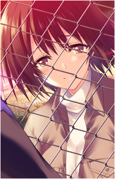 Misaki Sawakura's image