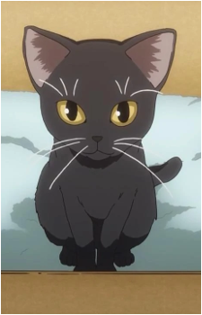 Misaka 10032's Cat from Toaru