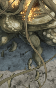 Image 21