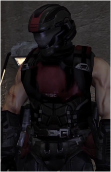 Sleeveless Insurrectionist