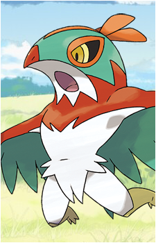 Hawlucha's image