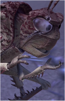 Image 22