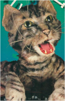 Toonces's image