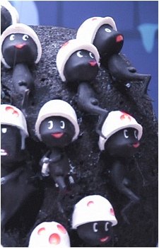 Image 21