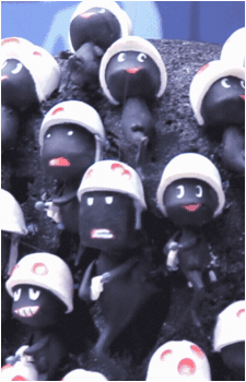 Image 41