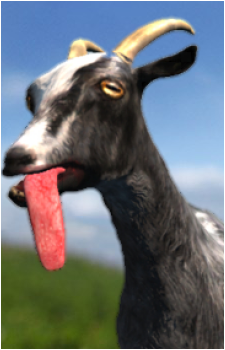 Goat