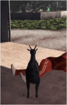 Image 38
