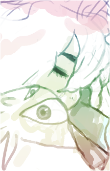 Image 5 Image 5
