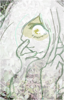 Image 7 Image 7