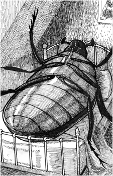 Gregor Samsa's image